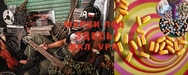 твердый Алзамай