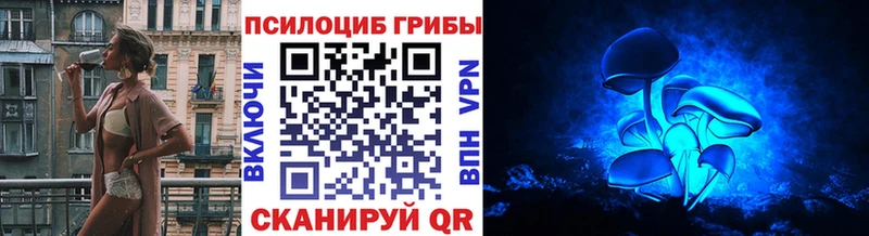 Купить закладки Малая Вишера Галлюциногенные грибы Psilocybe